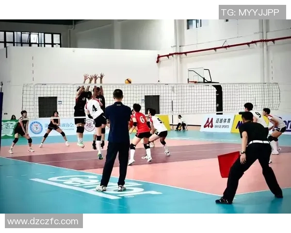 上海排球队排球意识排行榜荣登第二名引发热议